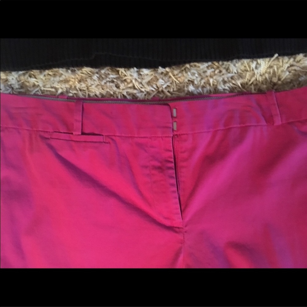 Cute Cropped Talbots Hot Pink Pants